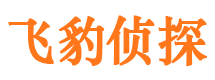 桐乡市侦探调查公司